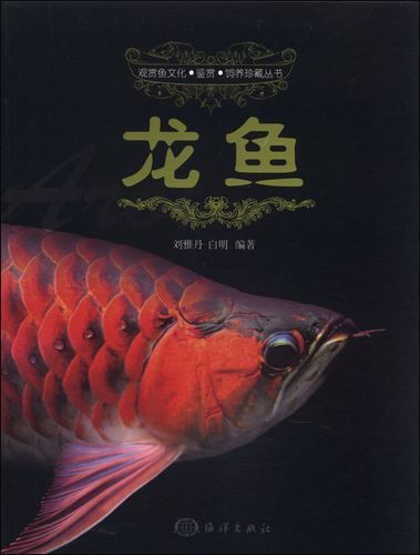 《龍魚》的作者還有哪些作品，《龍魚》一書的主要內容是什么劉雅丹與白明還有哪些合作作品