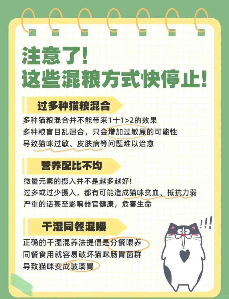 混養時需要注意哪些飲食問題