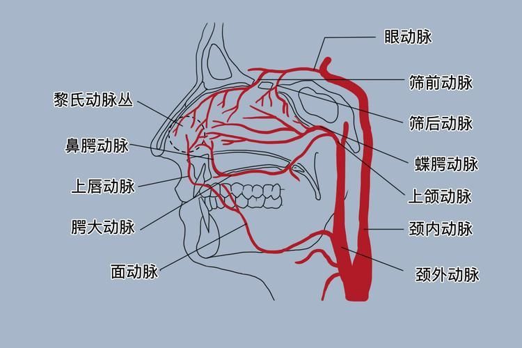 如何緩解不同程度的充血，mcp工具“百度健康-去問診,百度健康-去問診