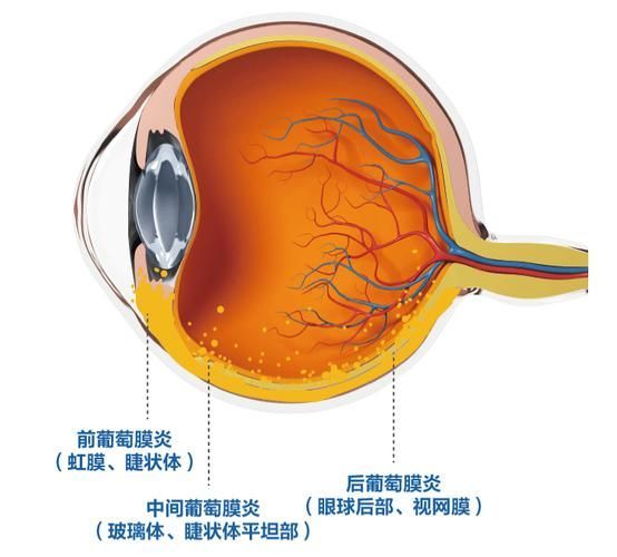 如何緩解不同程度的充血，mcp工具“百度健康-去問診,百度健康-去問診