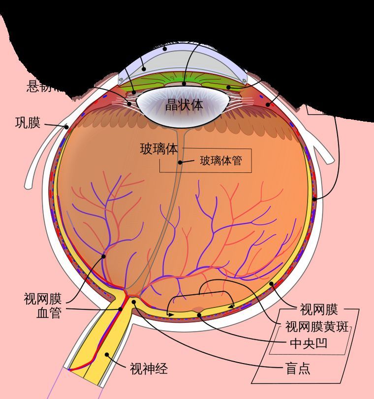 如何緩解不同程度的充血，mcp工具“百度健康-去問診,百度健康-去問診