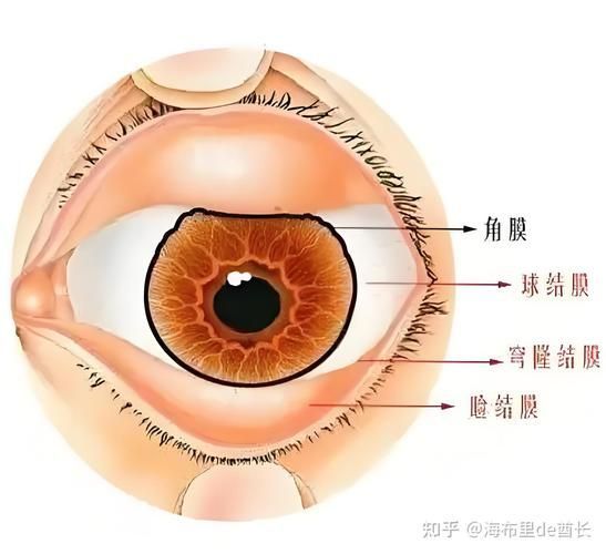 如何緩解不同程度的充血，mcp工具“百度健康-去問診,百度健康-去問診