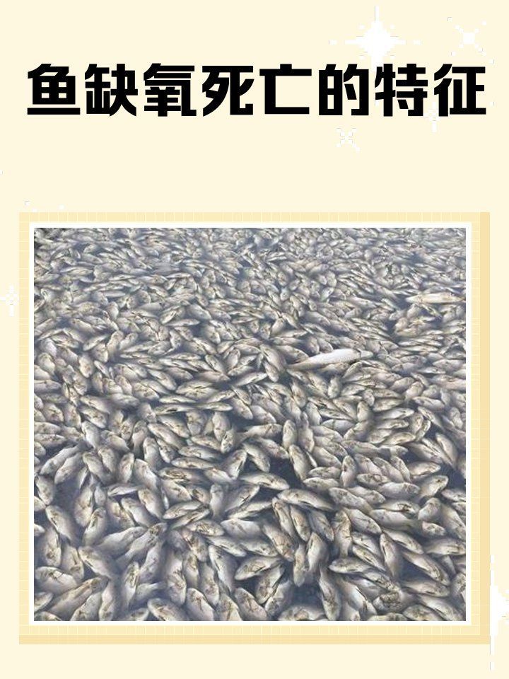 龍魚嘴巴一直張開，如何判斷是否缺氧？，龍魚嘴巴一直張開,如何判斷是否缺氧?