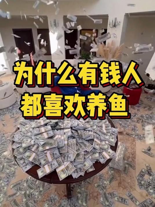 除了金龍魚，還有哪些魚被富豪飼養？，為什么有錢人都喜歡養魚