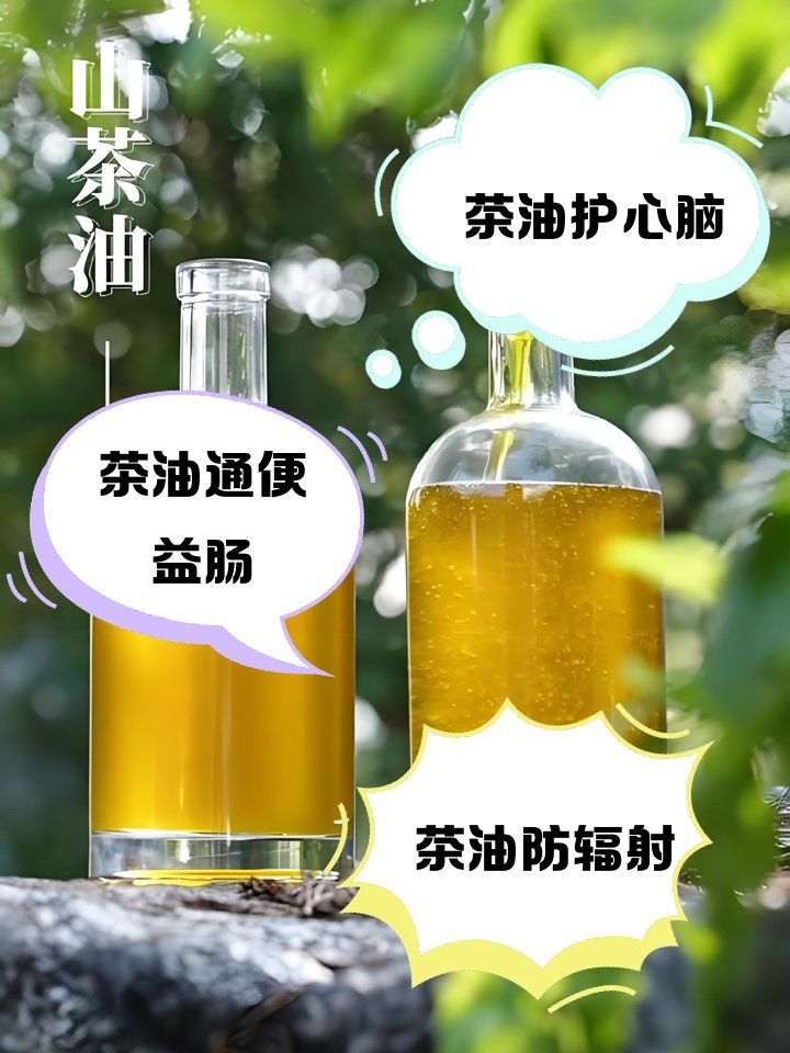 金龍魚茶油有哪些健康功效？，金龍魚茶油有什么好處，金龍魚茶油對身體有什么好處