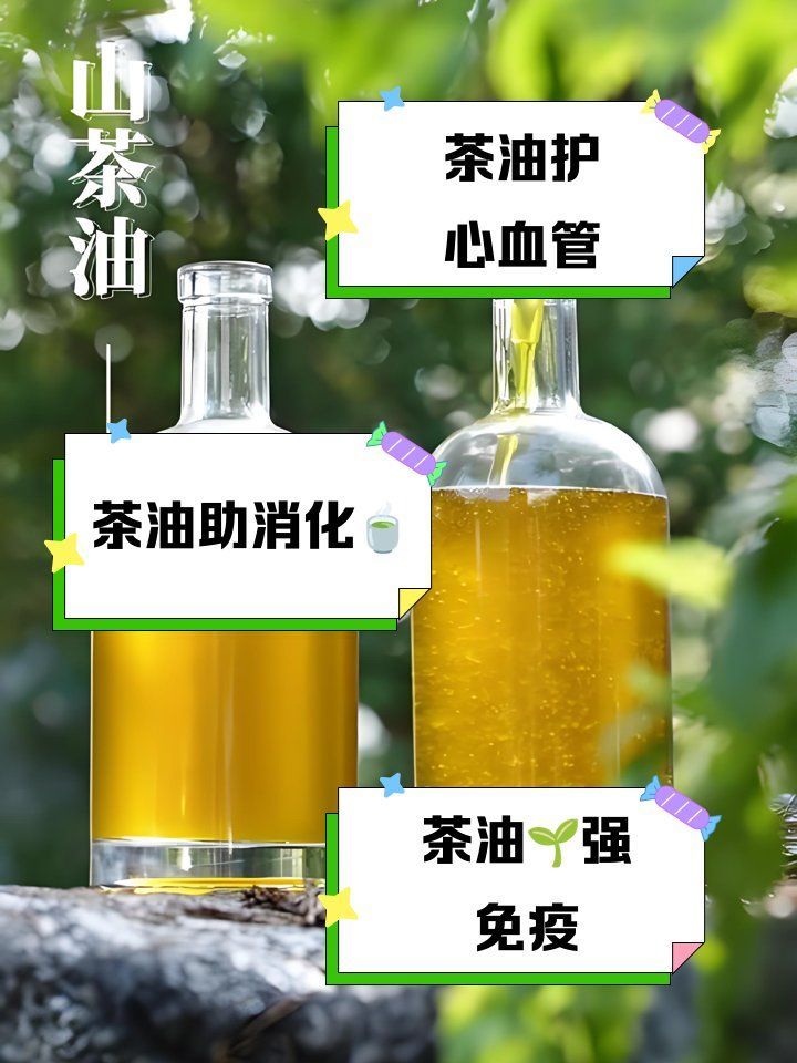 金龍魚茶油有哪些健康功效？，金龍魚茶油有什么好處，金龍魚茶油對身體有什么好處