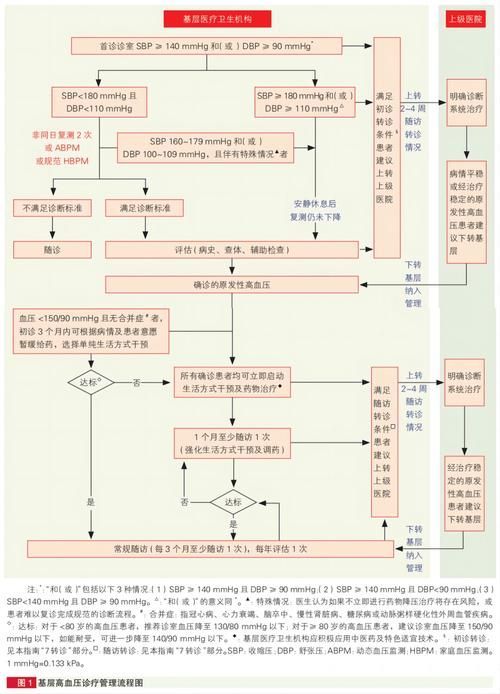 能否提供高血壓治療的詳細(xì)流程圖