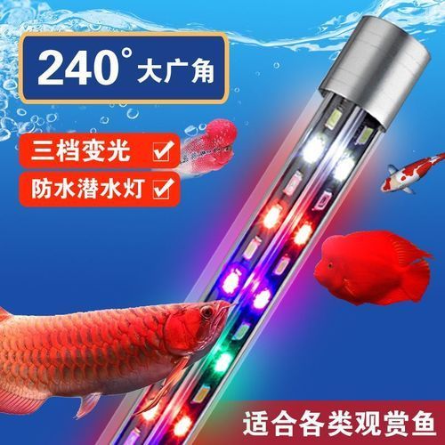 龍魚照明專用燈的使用壽命是多久