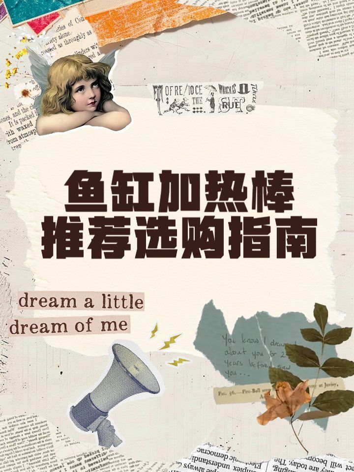 如何調節龍魚缸的水溫？