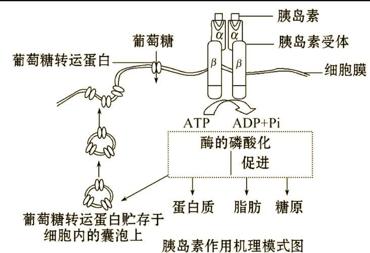 有哪些常見疾病及其防治方法，三甲醫院醫生推薦的高發疾病防治指南（*、百度健康-去問診）