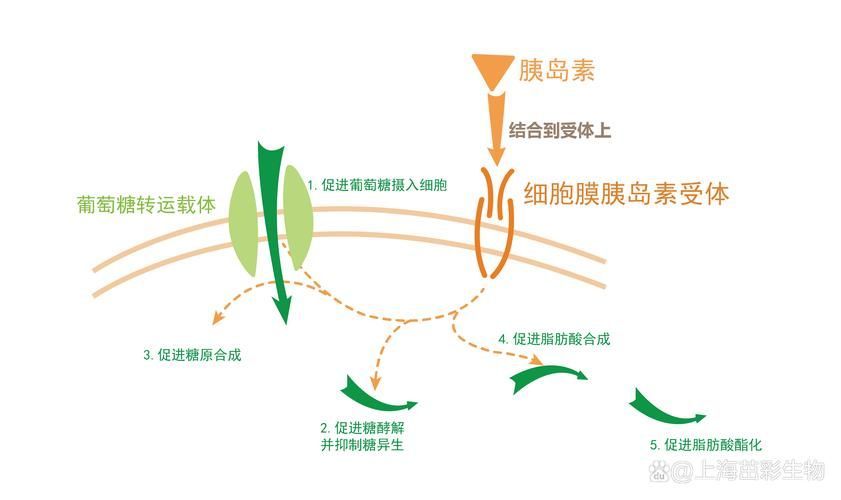 有哪些常見疾病及其防治方法，三甲醫院醫生推薦的高發疾病防治指南（*、百度健康-去問診）