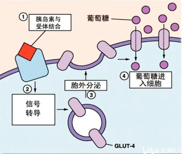有哪些常見疾病及其防治方法，三甲醫院醫生推薦的高發疾病防治指南（*、百度健康-去問診）