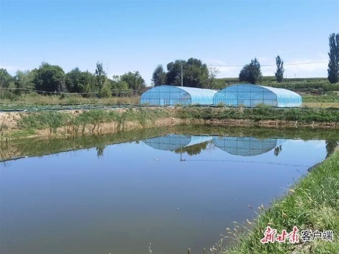 永登龍魚的養(yǎng)殖技術(shù)有哪些？，永登龍魚養(yǎng)殖技術(shù)