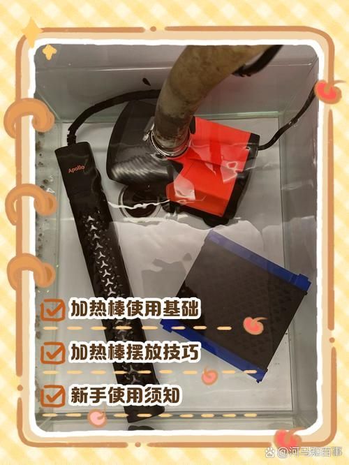 如何預防金魚再次患病，如何科學預防金魚再次患病