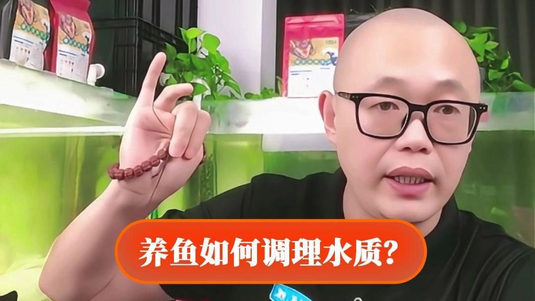 如何保持飼料魚的水質(zhì)清潔？，如何保持飼料魚的水質(zhì)清潔？保持飼料魚的水質(zhì)清潔是確保魚類健康生長和提高養(yǎng)殖效益的關(guān)鍵