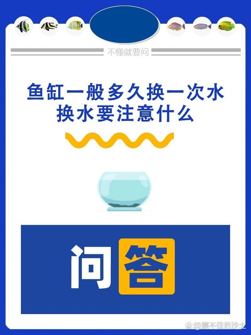 40缸養魚，多久換一次水，40缸養魚多久換一次水