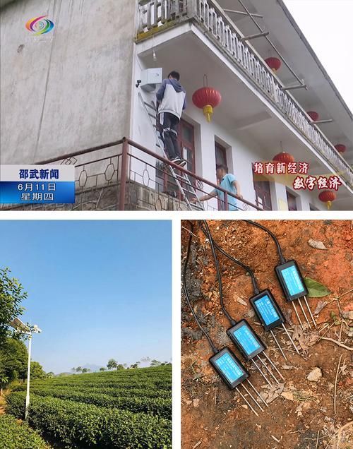 泗水龍魚哪個牌子的售后服務最好？，泗水龍魚哪個牌子的售后服務最好泗水龍魚哪個牌子的售后服務最好