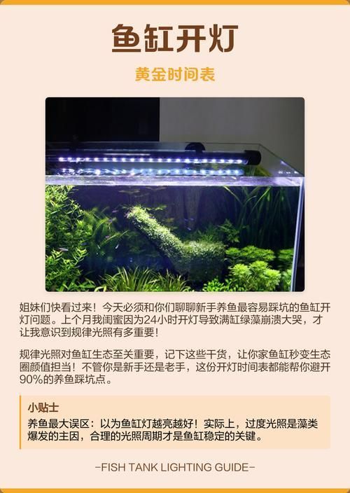 如何預防魚缸水再次變綠？，如何預防魚缸水再次變綠