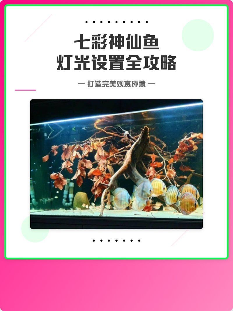 魚缸燈的色溫如何影響魚群，魚缸燈的色溫對魚群的影響