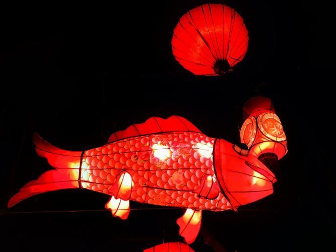 北京龍魚燈照的最佳觀賞地點在哪里？，北京龍魚燈照的最佳觀賞地點在哪里