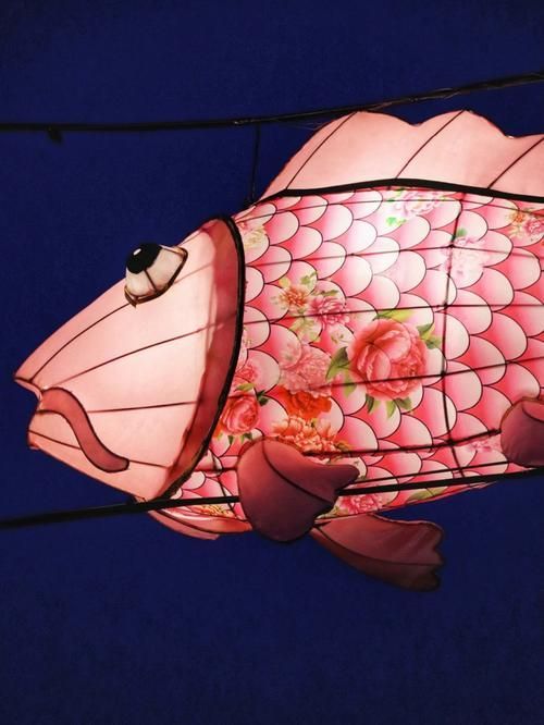 北京龍魚燈照的最佳觀賞地點在哪里？，北京龍魚燈照的最佳觀賞地點在哪里