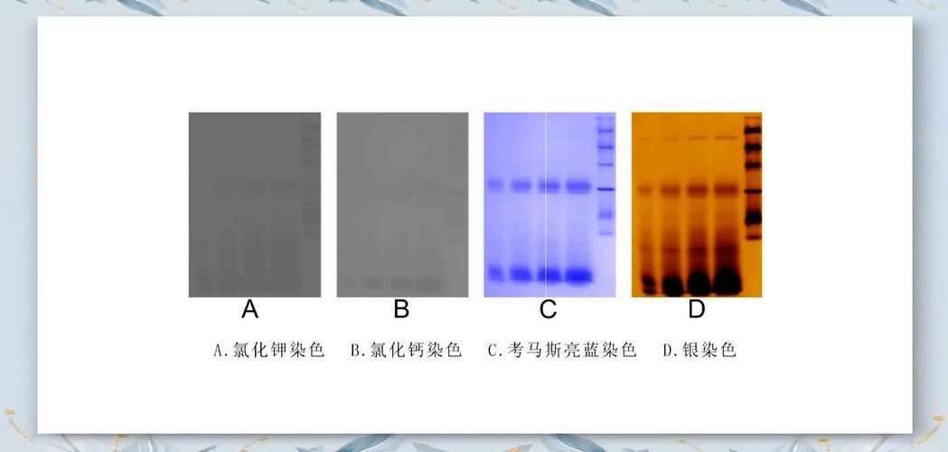 如何判斷食用油是否轉(zhuǎn)基因，如何判斷食用油是否為轉(zhuǎn)基因產(chǎn)品