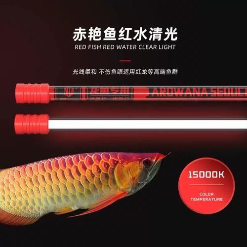龍魚增色燈和發(fā)色燈哪個(gè)更耗電？