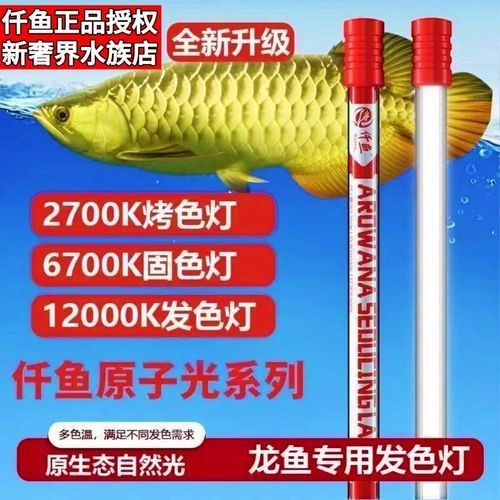 龍魚增色燈和發(fā)色燈哪個(gè)更耗電？