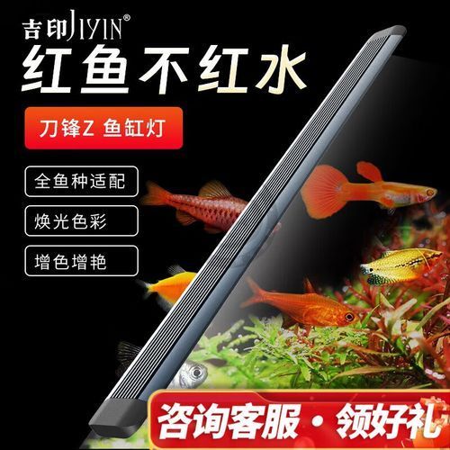 給我推薦幾款性價(jià)比高的龍魚鸚鵡魚照明燈