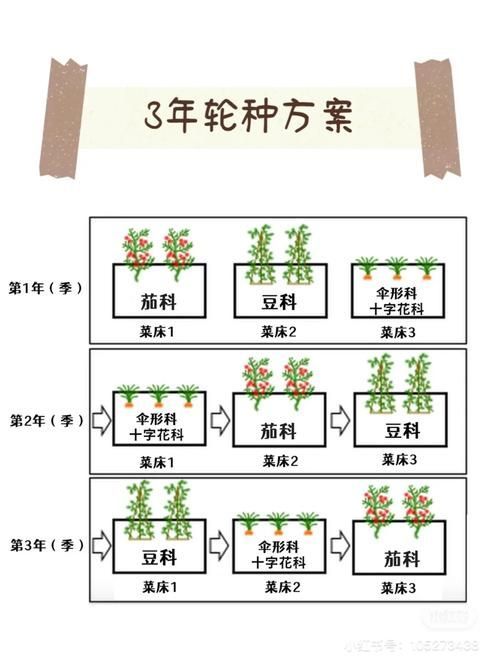 黑霉病有哪些預防措施，黑霉病的預防措施