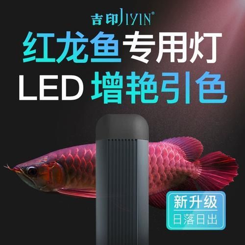 有哪些品牌的龍魚增艷燈評價最好？，如何選擇龍魚增艷燈？