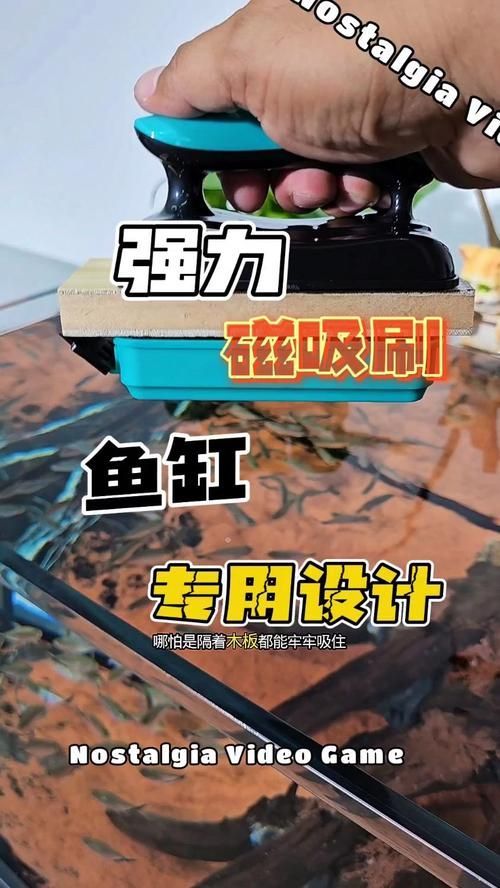 魚缸手動清理步驟