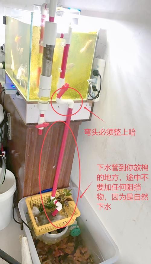 魚缸手動清理步驟