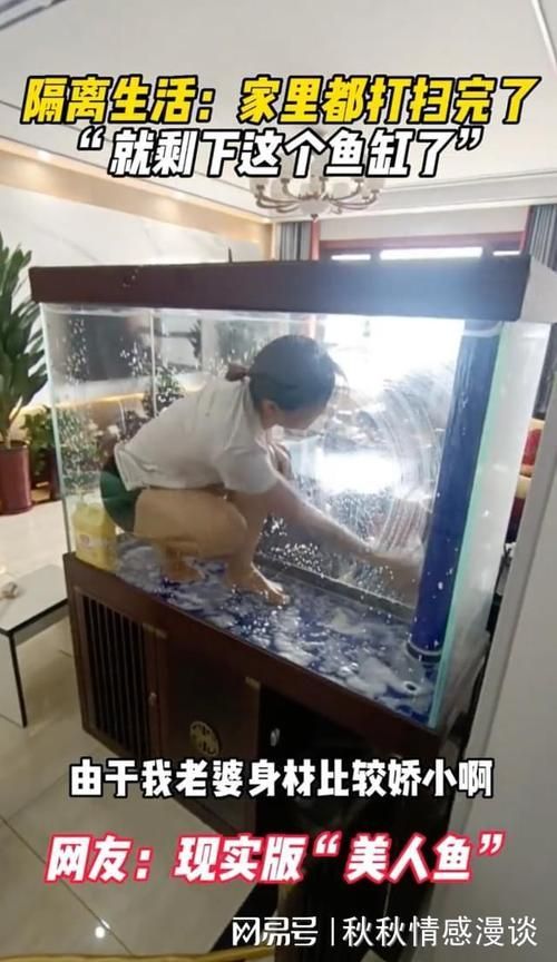 魚缸手動清理步驟