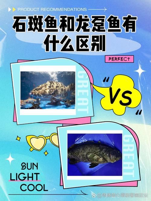 如何區分北海龍魚和真正的龍魚，北海龍魚和真正的龍魚區別