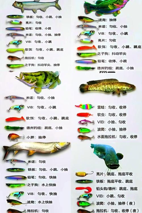 如何判斷食物是否新鮮，避免喂變質餌料，如何判斷食物新鮮度