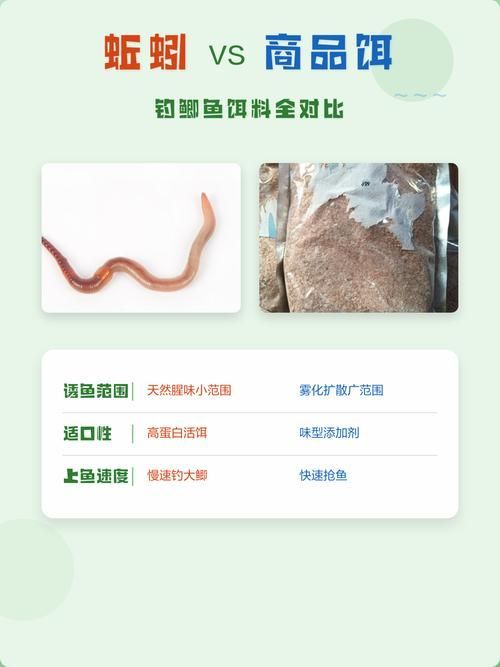 如何判斷食物是否新鮮，避免喂變質餌料，如何判斷食物新鮮度