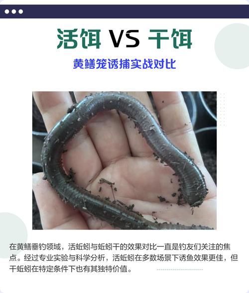 如何判斷食物是否新鮮，避免喂變質餌料，如何判斷食物新鮮度