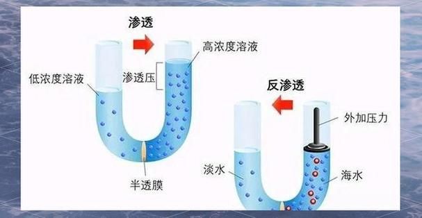 如何判斷龍魚是否適應海魚？，如何判斷龍魚是否能適應海水環境