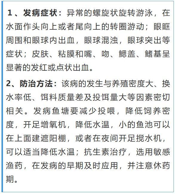如何預(yù)防魚頭充血病