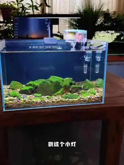 有沒有更多性價比高的魚缸燈推薦，性價比高的魚缸燈品牌和型號推薦，百元至三百元價位段表現(xiàn)突出