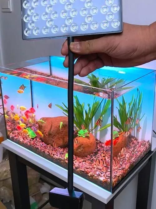 有沒有更多性價比高的魚缸燈推薦，性價比高的魚缸燈品牌和型號推薦，百元至三百元價位段表現(xiàn)突出