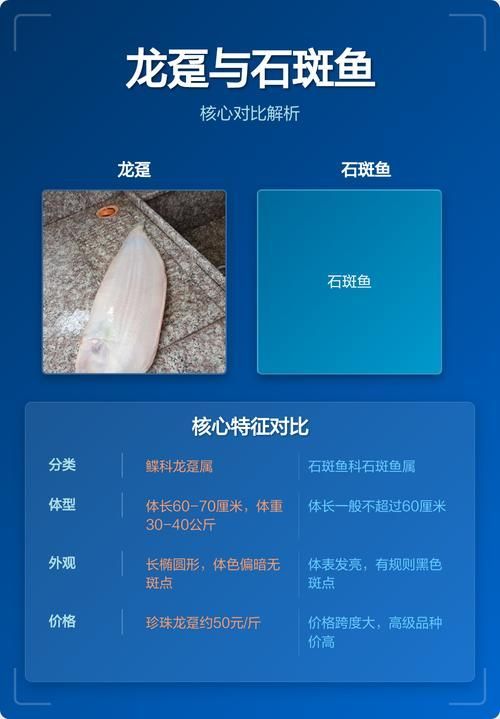 龍躉魚和龍魚有什么區別？，龍躉魚與龍魚的區別