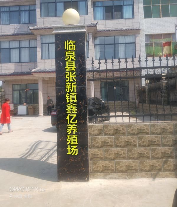 臨泉縣有哪些知名的龍魚養殖場？，臨泉縣與“龍魚”名稱相近或業務相關的養殖場公司企業百度地圖