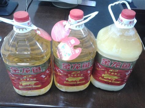 金龍魚真假對照圖，金龍魚的真假鑒別方法