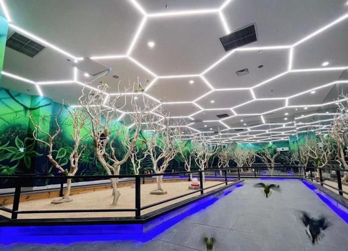 西安還有哪些水族館推薦？，西安最受歡迎、口碑最佳的幾大水族館和水族館推薦