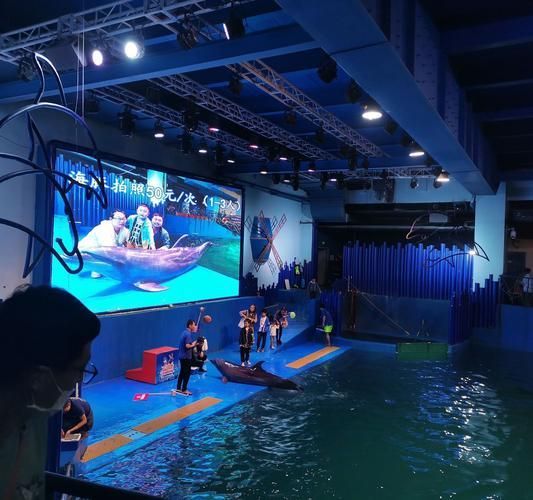 西安還有哪些水族館推薦？，西安最受歡迎、口碑最佳的幾大水族館和水族館推薦