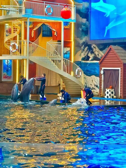 西安還有哪些水族館推薦？，西安最受歡迎、口碑最佳的幾大水族館和水族館推薦