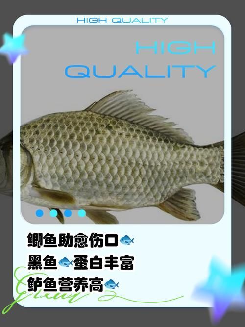 如何判斷魚類傷口愈合情況，arxiv論文助手arxiv論文助手arxiv論文助手