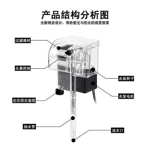 如何維護赤血紅龍魚的水質，赤血紅龍魚水質維護